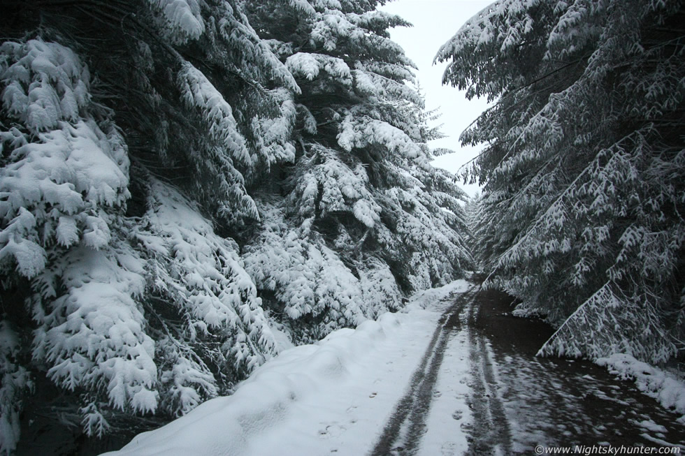 Glenshane Forest Snow