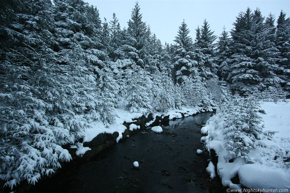 Glenshane Forest Snow