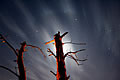 Fragmented Moon Halo