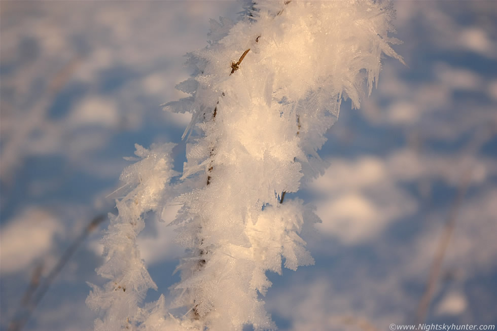 Hoar Frost