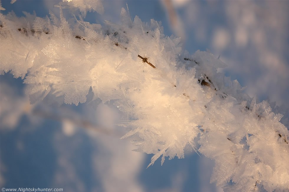 Hoar Frost