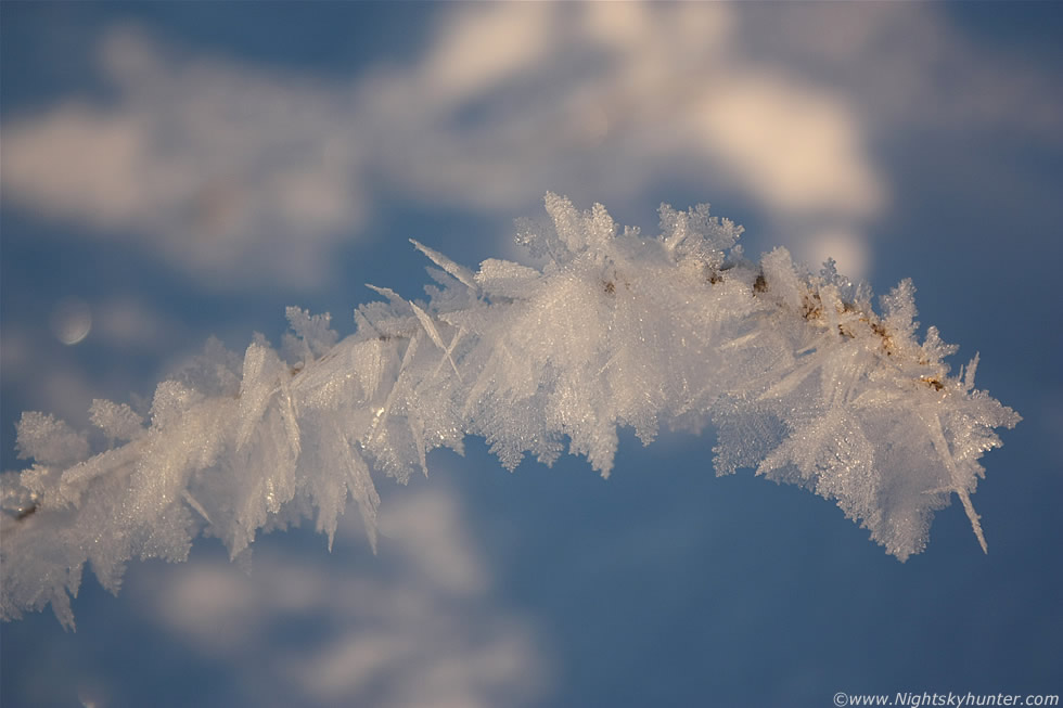 Hoar Frost