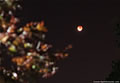 Lunar Eclipse