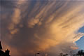 Mammatus