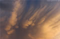 Mammatus