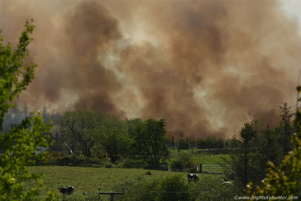 Omagh Gorse Fire