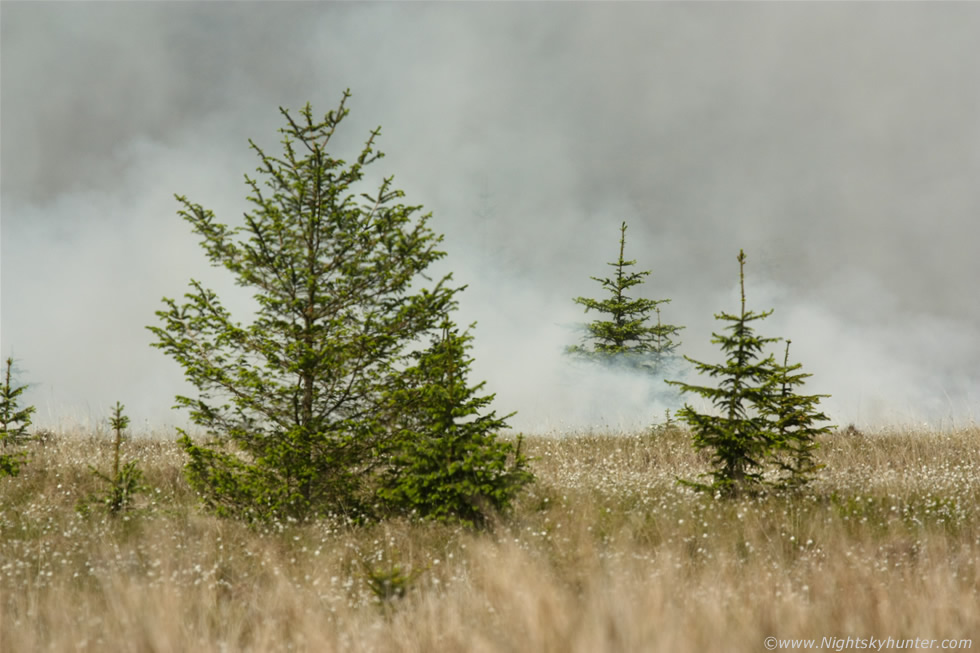 Omagh Gorse Fire