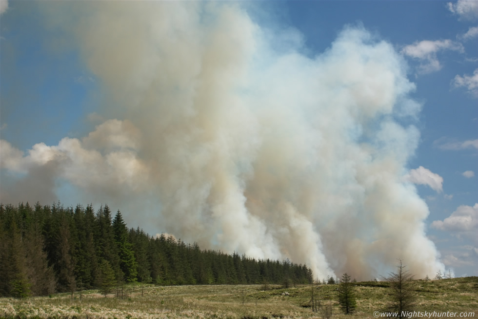 Omagh Gorse Fire