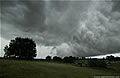 Gust Front