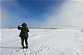 Snow Landscape