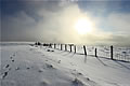 Snow Landscape