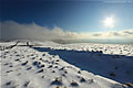 Snow Landscape