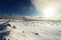 Snow Landscape