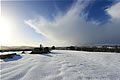 Snow Landscape