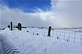 Snow Landscape