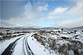 Snow Landscape