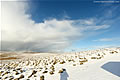 Snow Landscape